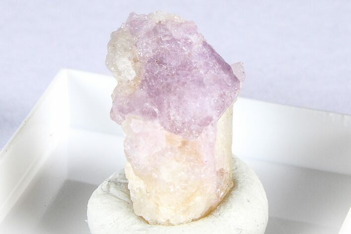 Purple Spinel Crystals with Forsterite & Phlogopite - Tajikistan #380321